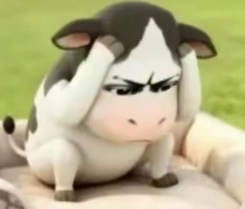 meme gãi đầu thể hiện sự bối rối