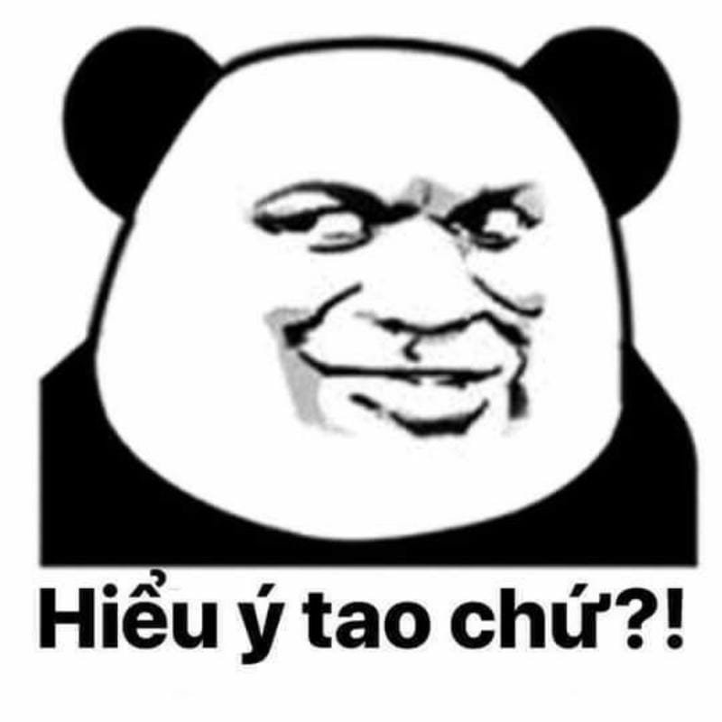meme gấu trúc bất lực trước cuộc đời
