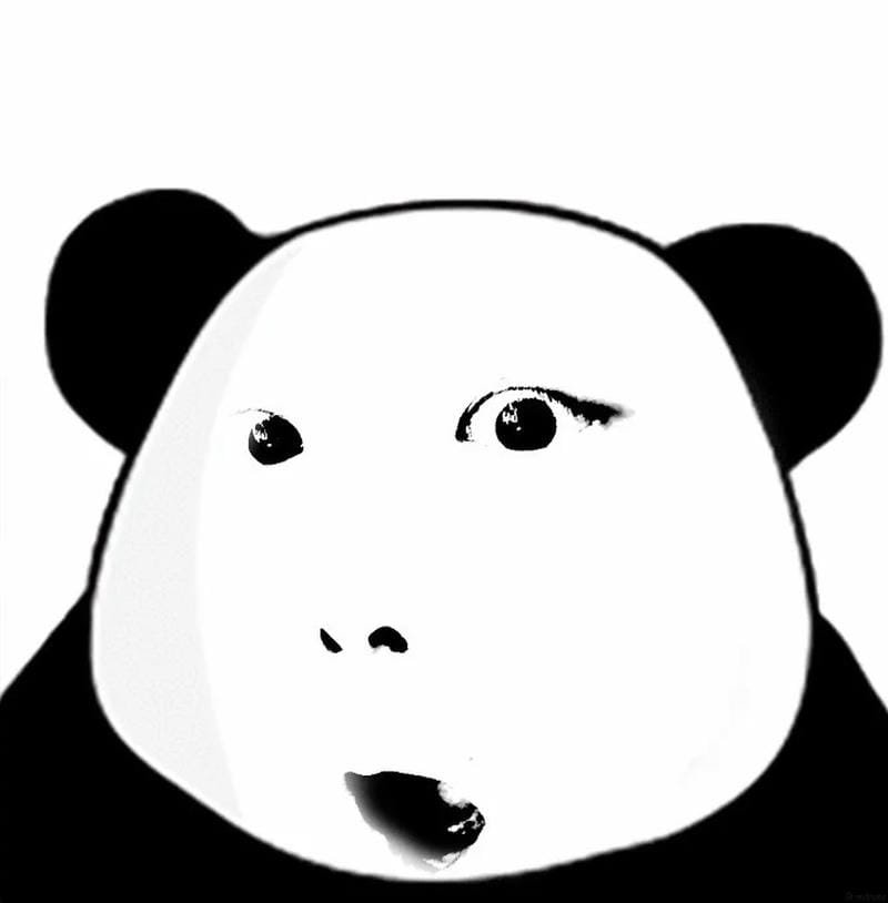 meme gấu trúc biểu cảm đầy bất ngờ
