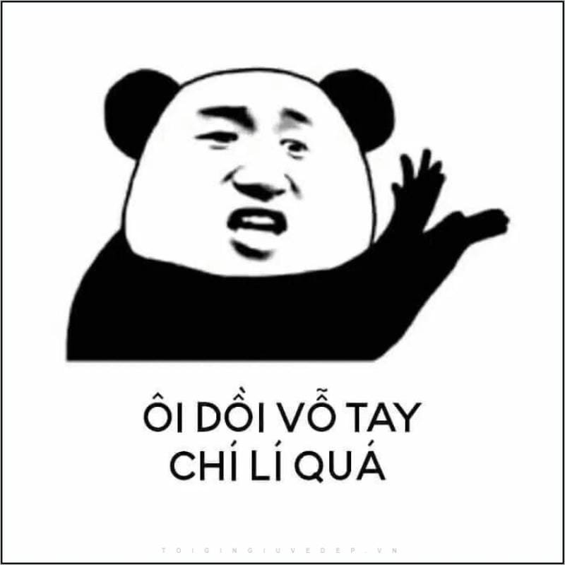 meme gấu trúc biểu cảm khó đỡ