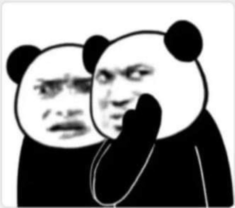 meme gấu trúc biểu cảm siêu lầy