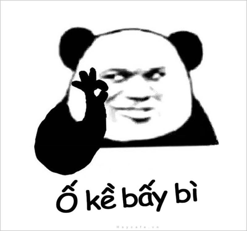 meme gấu trúc buồn nhưng vẫn hài