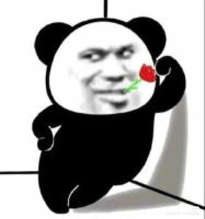 meme gấu trúc cute và đáng yêu
