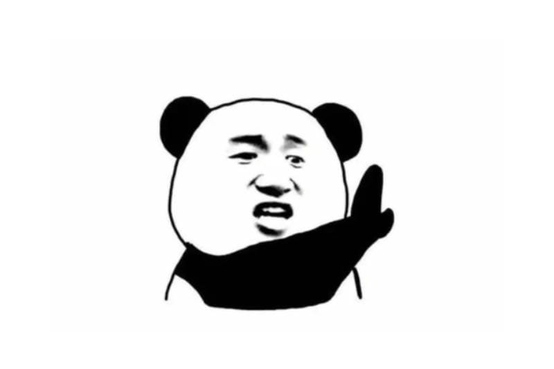 meme gấu trúc diễn sâu hài hước