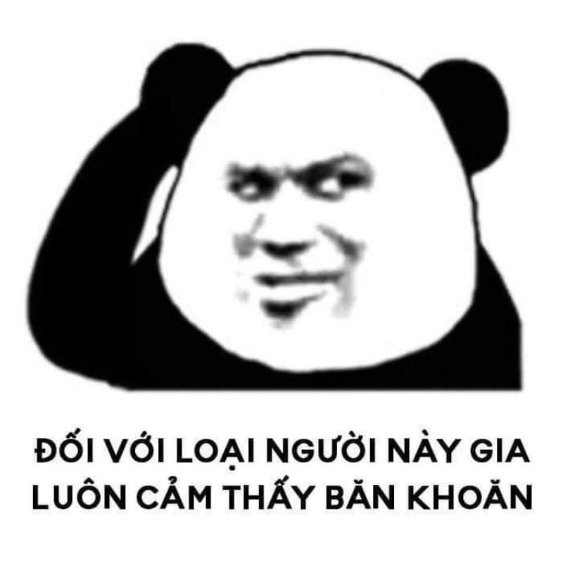 meme gấu trúc hài hước cực chất