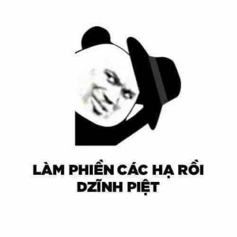 meme gấu trúc hài hước cực viral