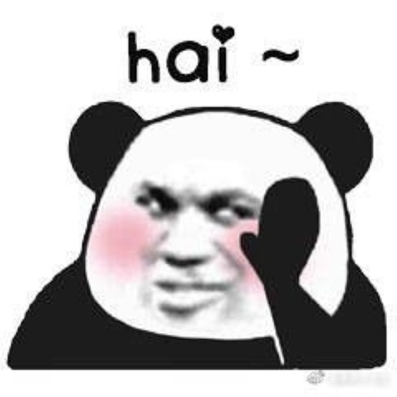 meme gấu trúc hài khiến ai cũng cười