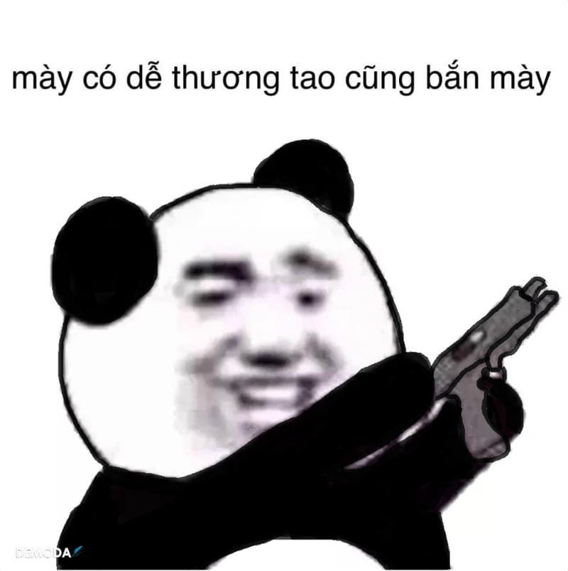 meme gấu trúc mặt ngơ cực viral