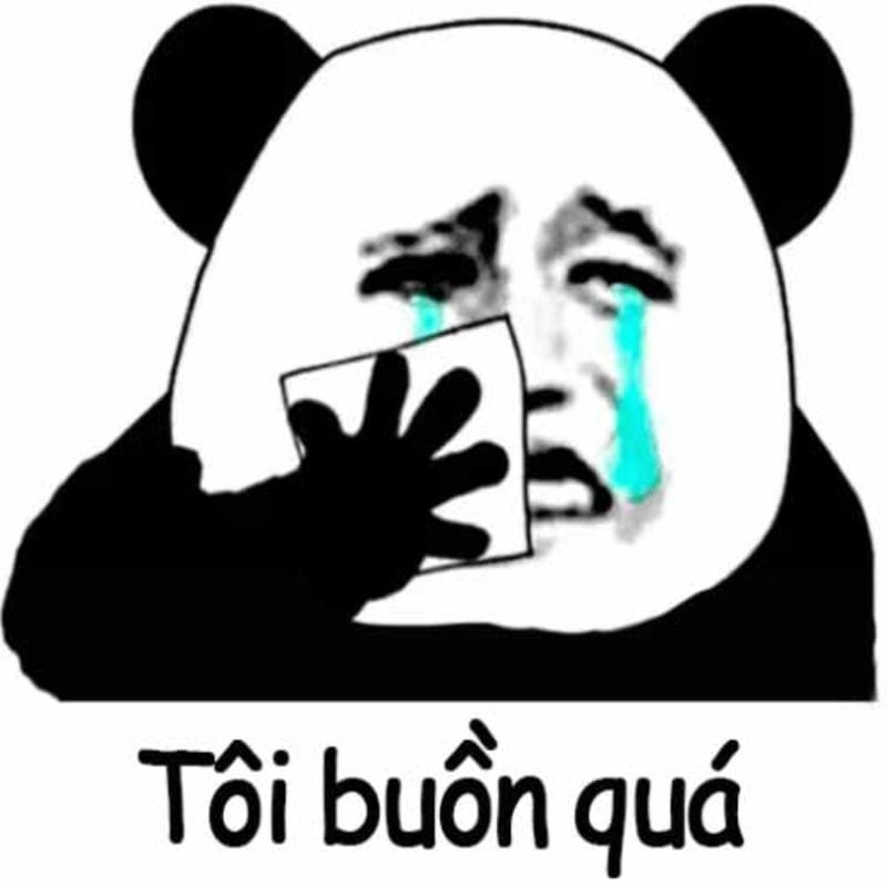 meme gấu trúc ngáo ngơ dễ thương