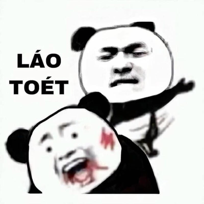 meme gấu trúc nhìn cực khó đỡ