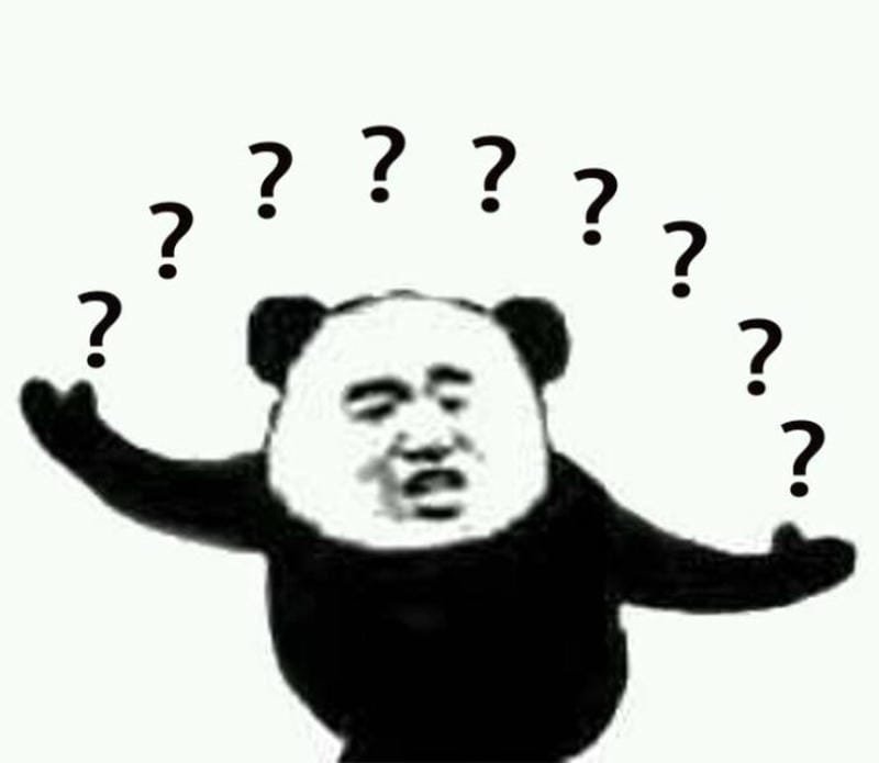 meme gấu trúc nhìn đời đầy bất lực