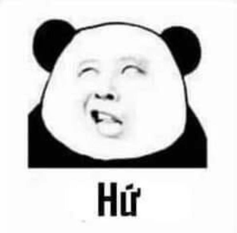 meme gấu trúc reaction cực bá đạo