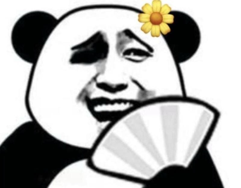 meme gấu trúc tức giận đáng yêu