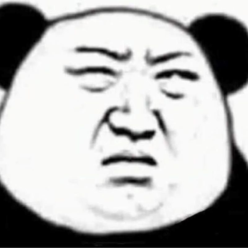meme gấu trúc với biểu cảm bất lực
