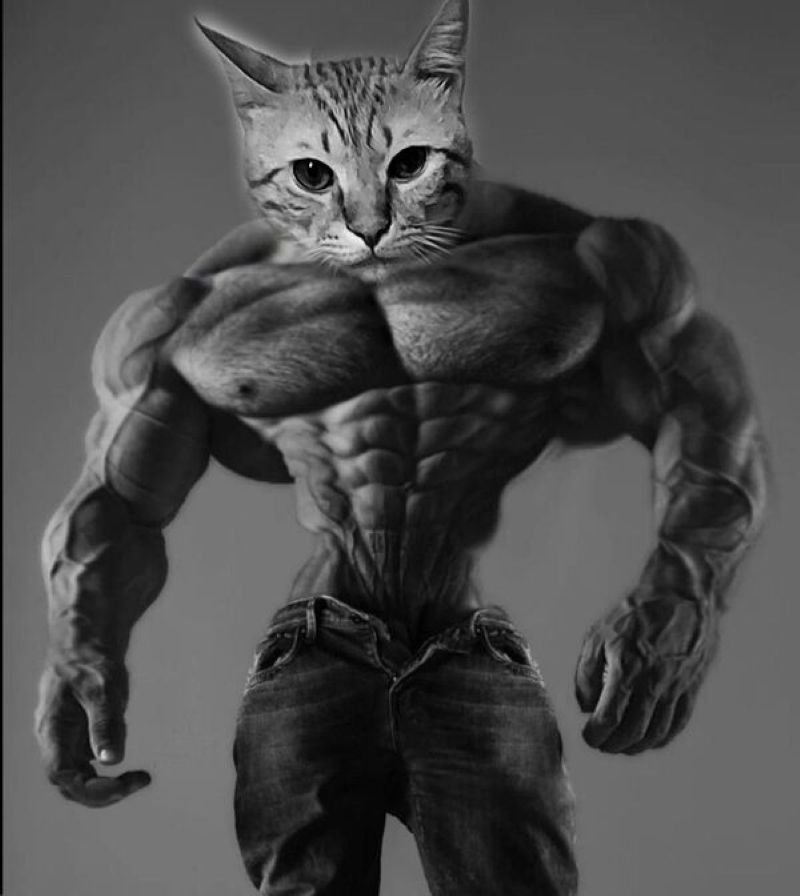 meme gigachad phong cách đàn ông mạnh mẽ