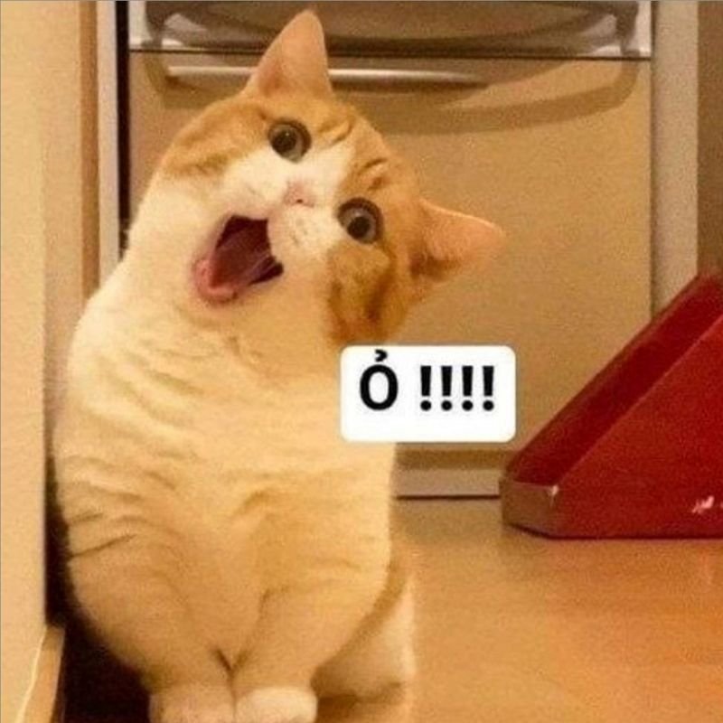 meme hài hước cười banh nóc cực chất