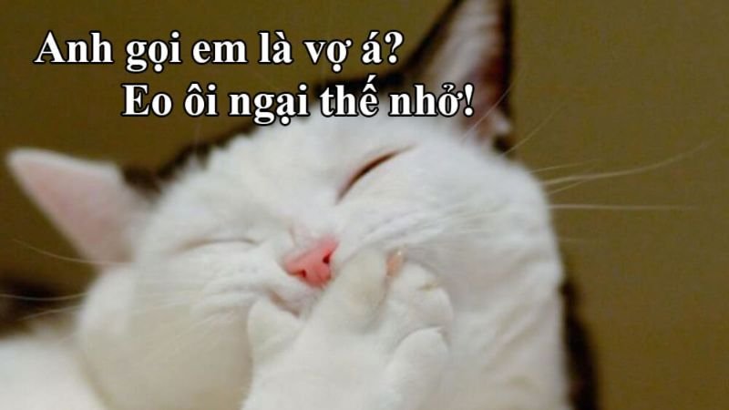 meme hài hước khó đỡ nhất mạng xã hội