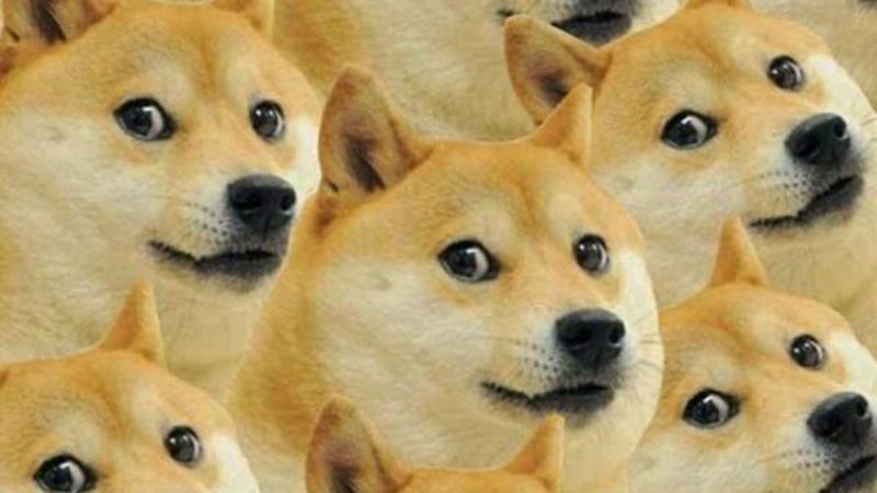 meme hài hước nhìn là muốn cười