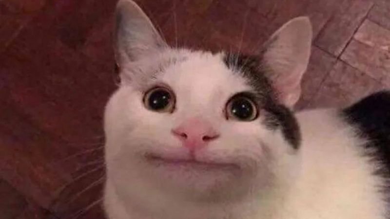 meme hài hước siêu mặn và bá đạo