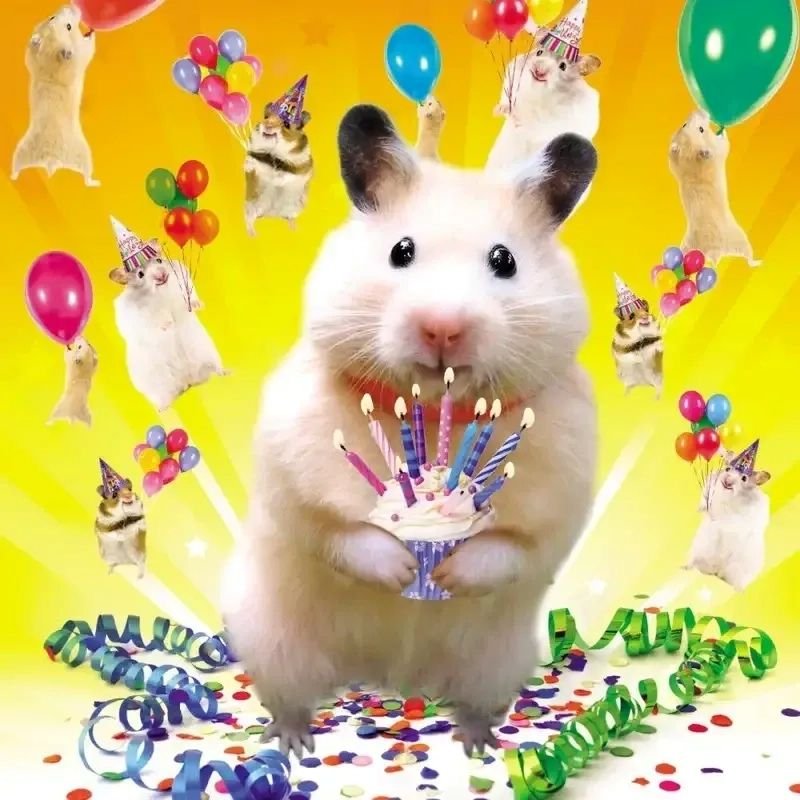 meme happy birthday bắt trend cực nhanh
