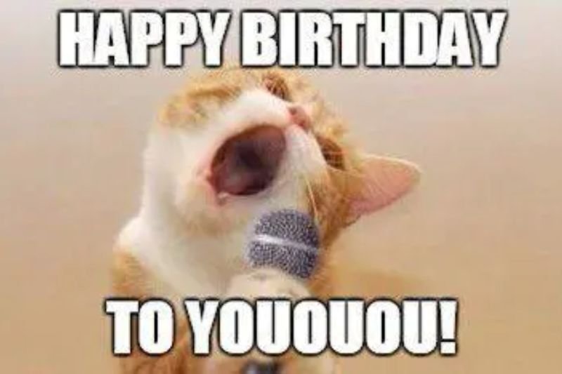 meme happy birthday chúc mừng bá đạo
