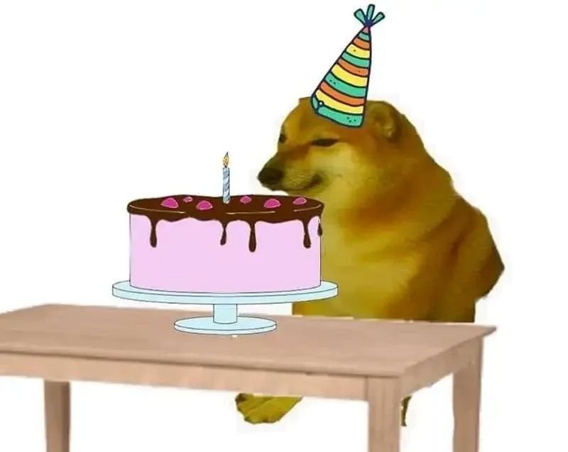 meme happy birthday chúc mừng đầy sáng tạo