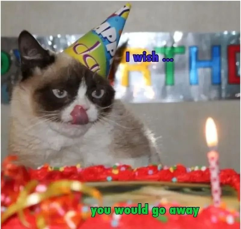 meme happy birthday chúc tuổi mới vui