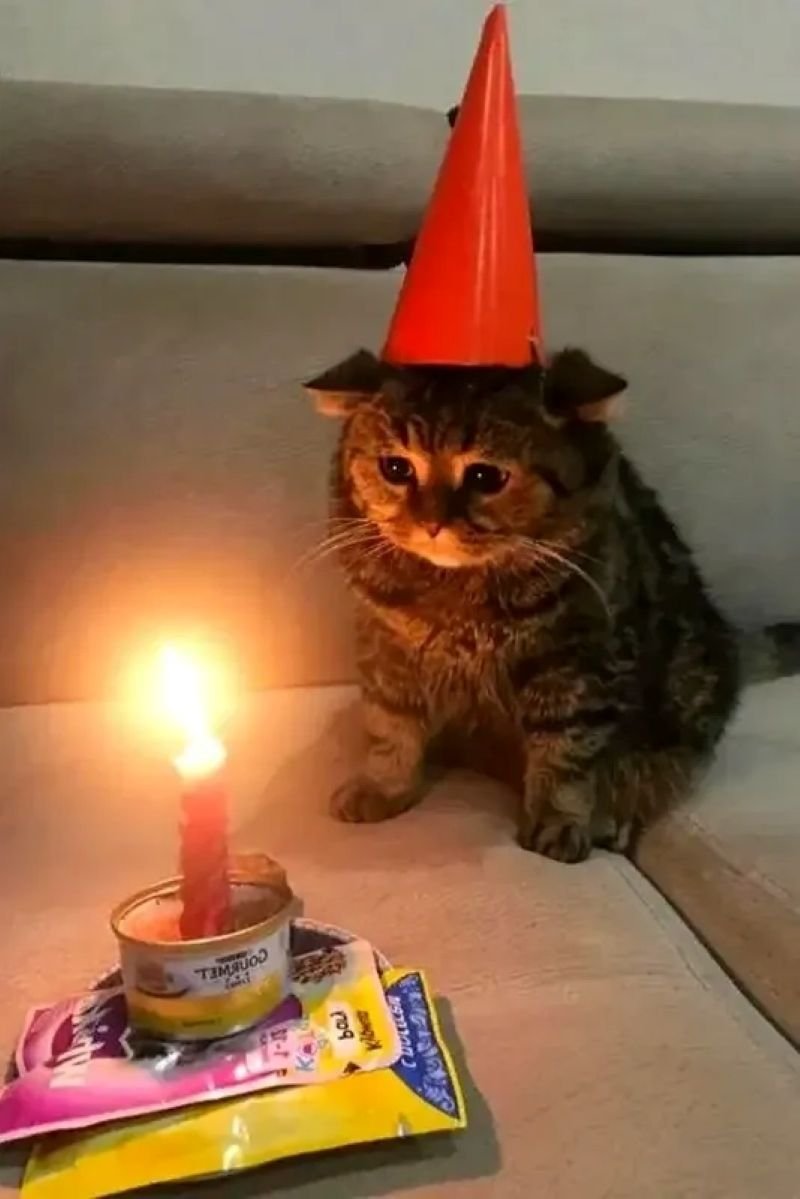 meme happy birthday cực kỳ bá đạo
