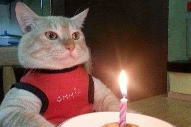 meme happy birthday độc đáo dễ thương