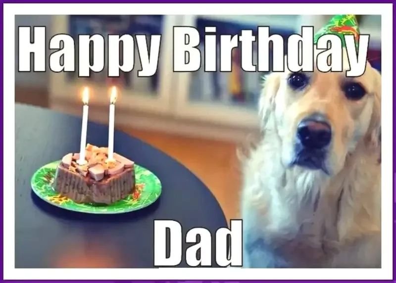 meme happy birthday hài hước viral