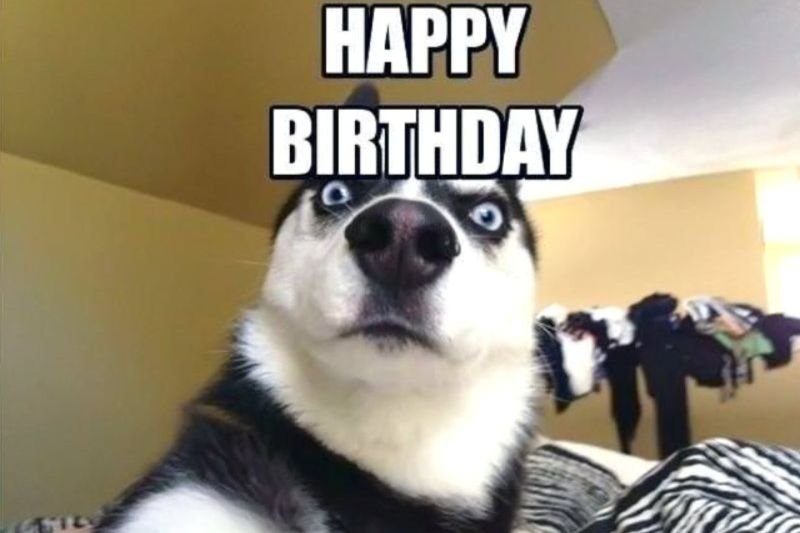 meme happy birthday siêu hài hước