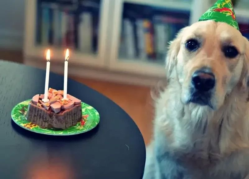meme happy birthday siêu lầy dành tặng