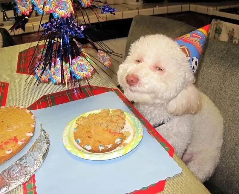 meme happy birthday troll cực mạnh