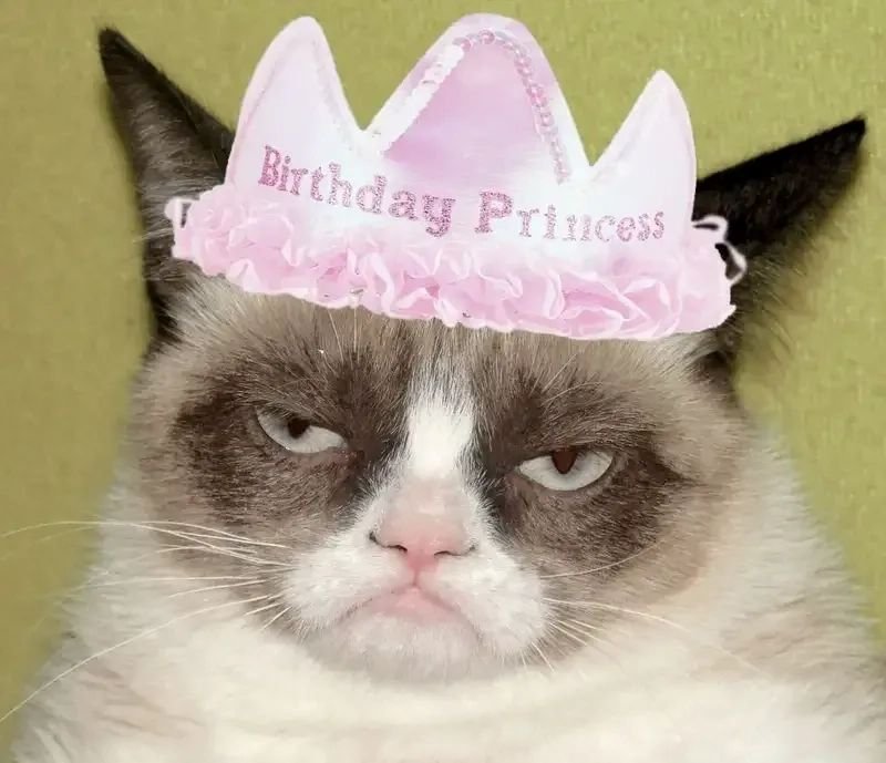 meme happy birthday troll sinh nhật