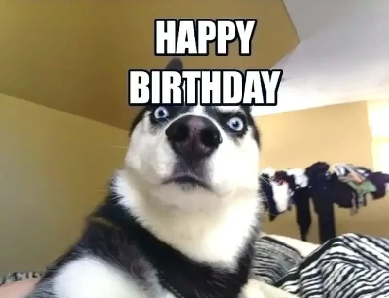 meme happy birthday vui nhộn độc lạ