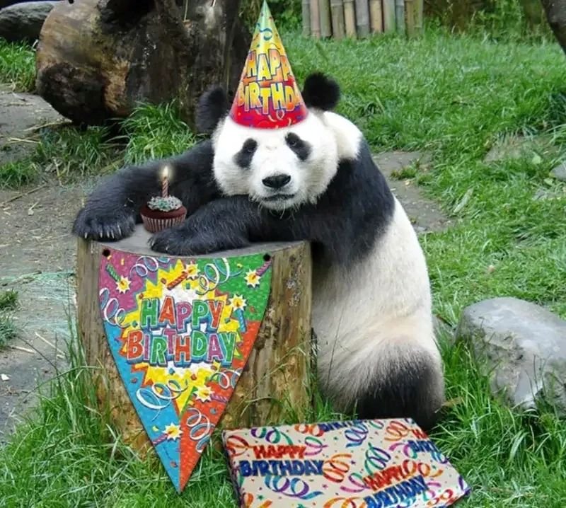 meme happy birthday vui vẻ bất ngờ