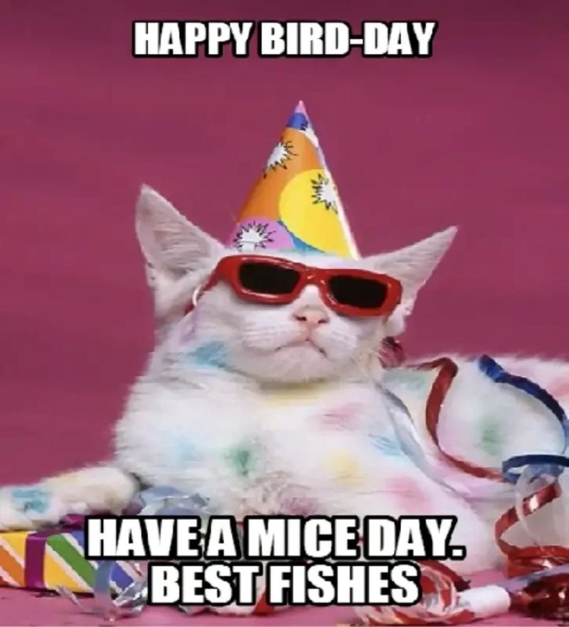 meme happy birthday vui vẻ và bá đạo