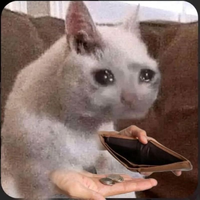 meme hết tiền khi cuối tháng ập đến