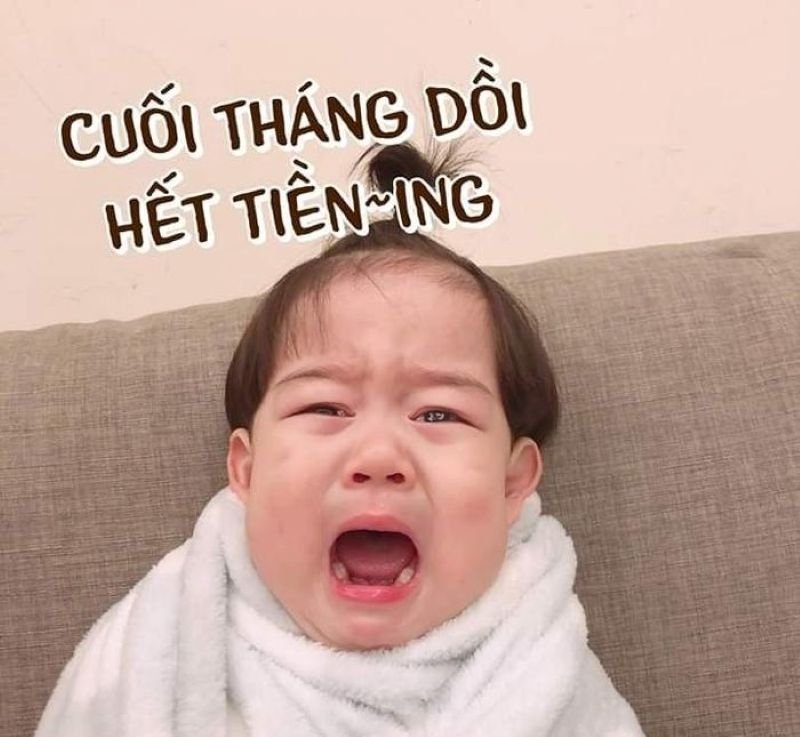 meme hết tiền nhìn đồ ăn chỉ biết khóc