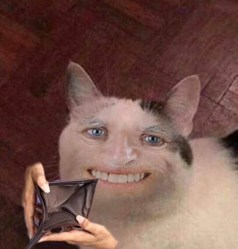 meme hết tiền nhìn số dư mà khóc