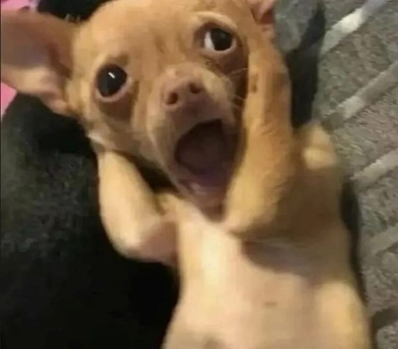meme hoảng hốt bắt trend cực nhanh