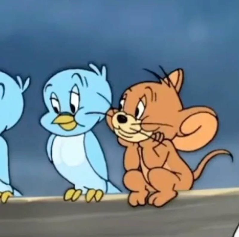 meme jerry meme hài hước nổi bật meme jerry meme hài hước nổi bật