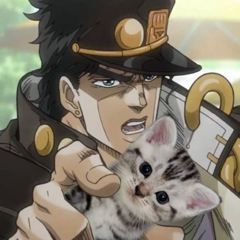 meme jojo cực lầy và bá đạo