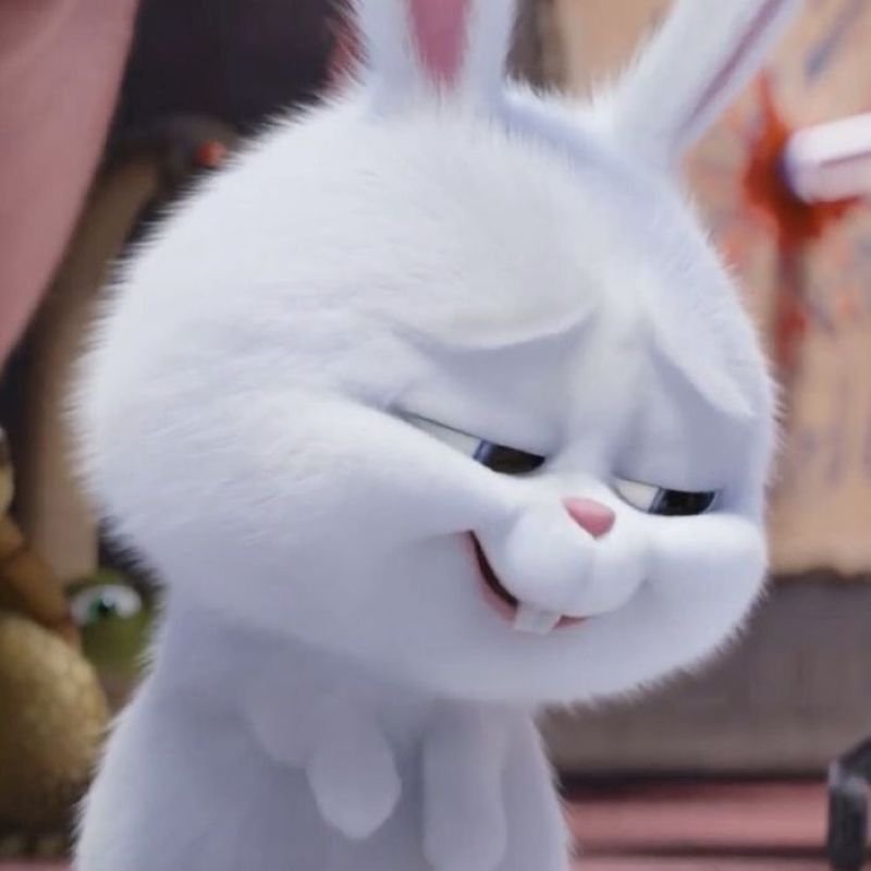 meme khinh bỉ đầy mỉa mai và hài hước