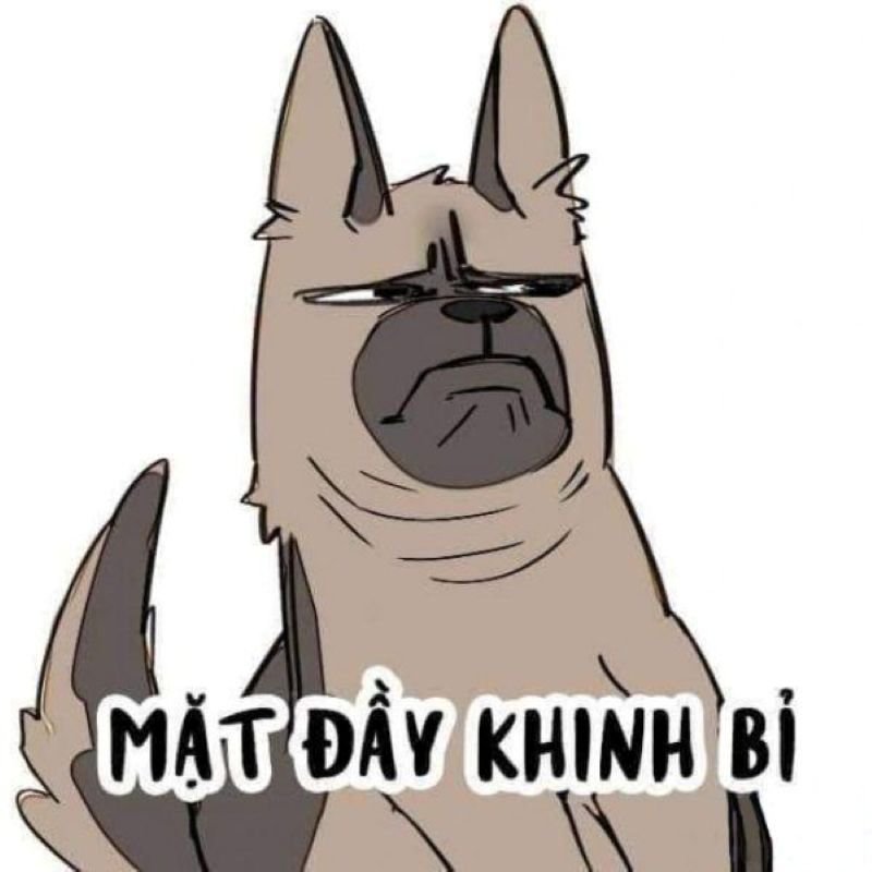 meme khinh bỉ đầy thái độ nhìn là hiểu