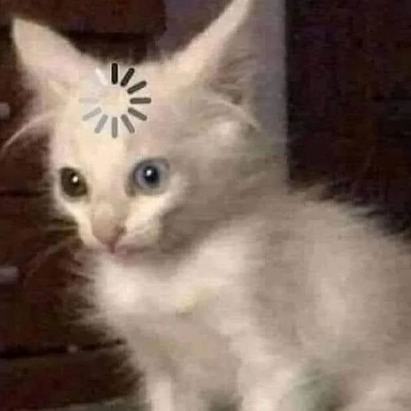 meme khó hiểu đầy pha xử lý bất ổn