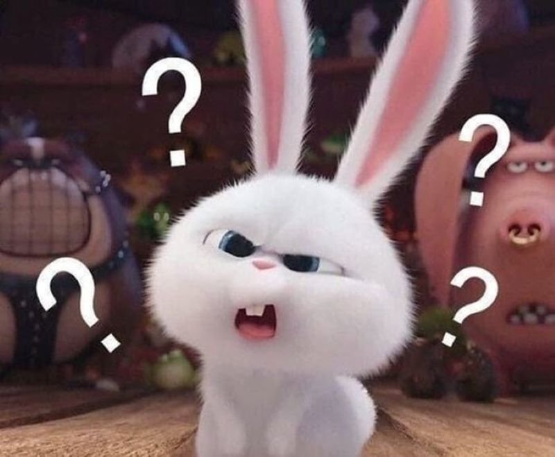 meme khó hiểu độc lạ trên mạng