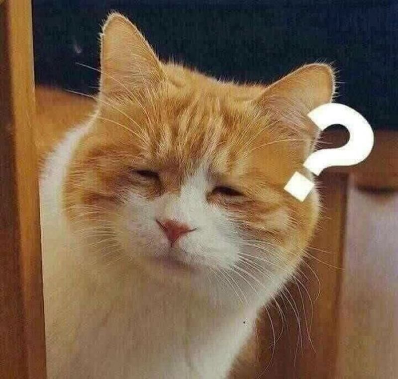 meme khó hiểu gây lú toàn tập