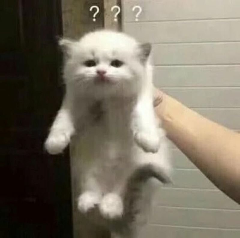 meme khó hiểu hài nhảm cực cuốn