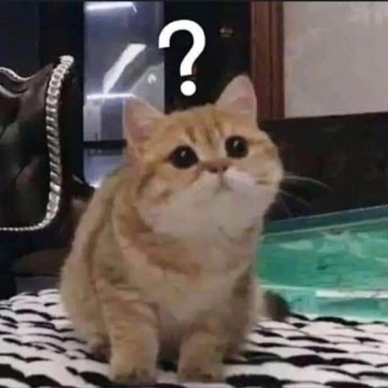 meme khó hiểu khiến ai cũng bật cười